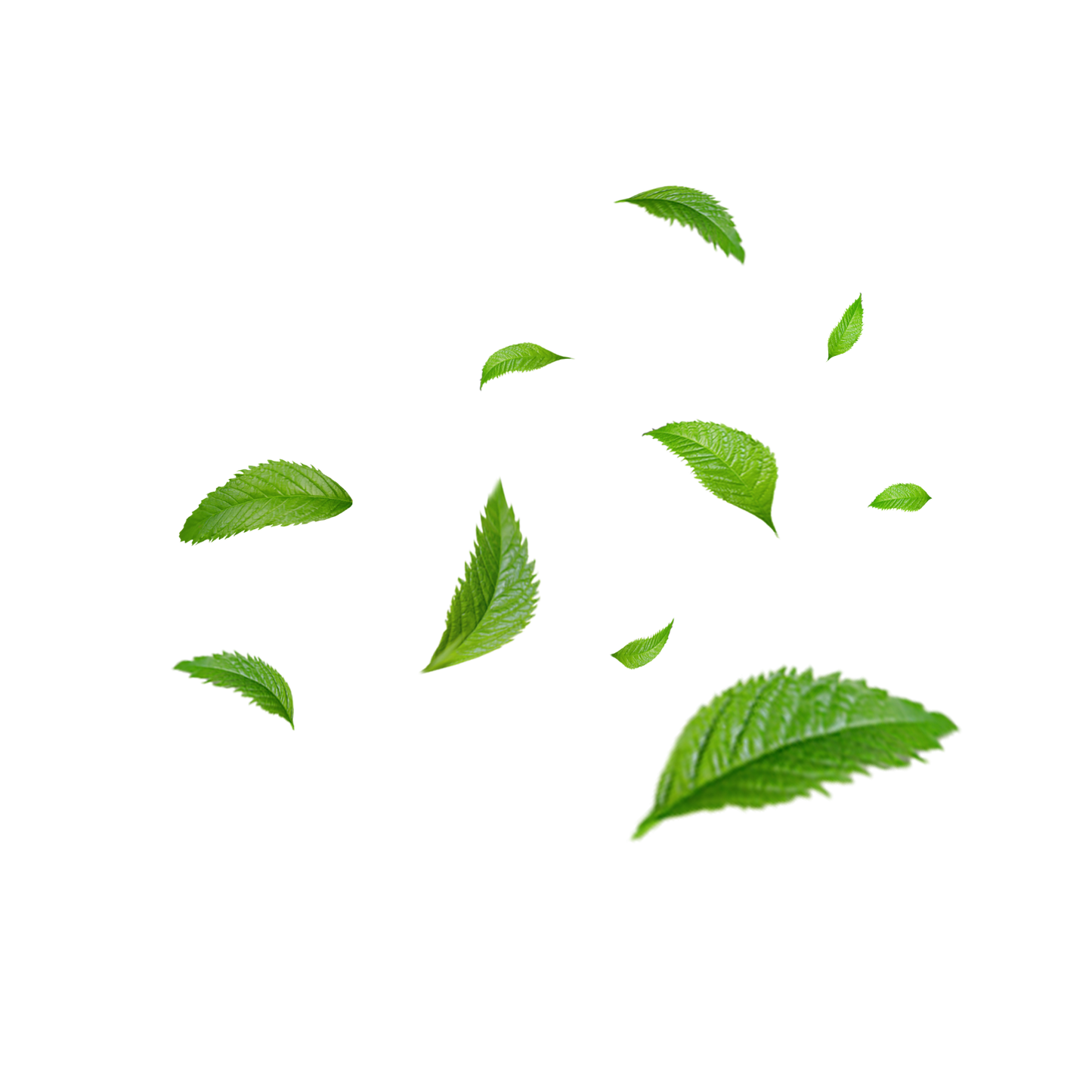 Firming Toner-ACNE TREATMENT