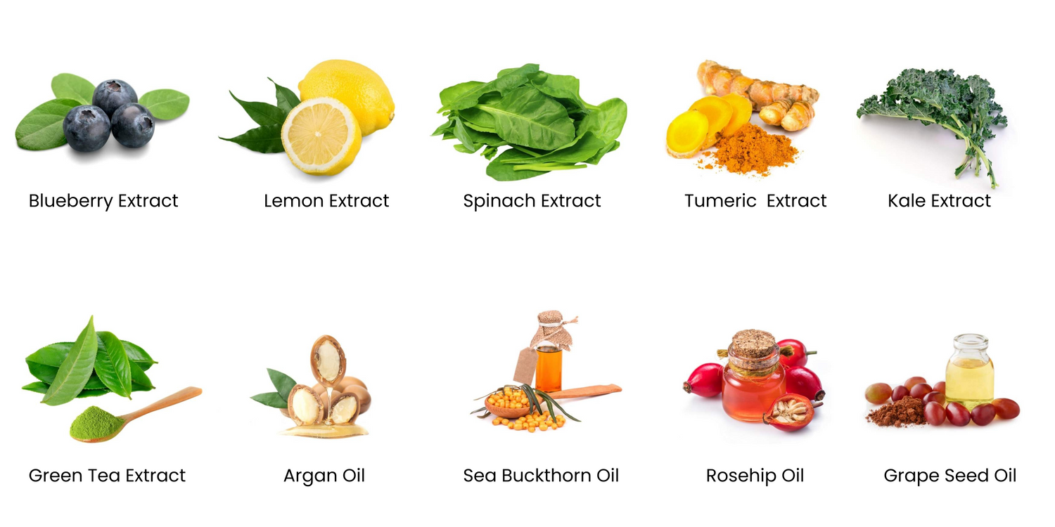 Image of antioxidants and botanicals, including blueberry extract, lemon extract, spinach extract, tumeric extract, kale extract, green tea extract, argan oil, seabuckthorn oil, grape seed oil